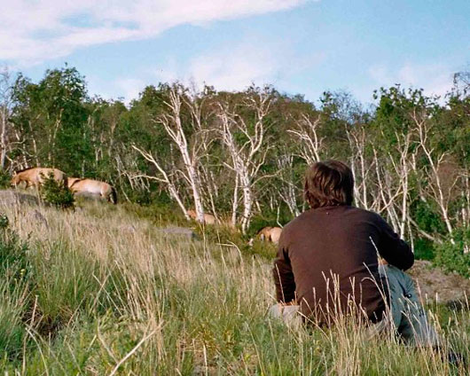 Axel Reichert Przewalskipferde Der Gründer von AnimalManShip bei der Beobachtung von Przewalski-Pferden in der Mongolei, 2005