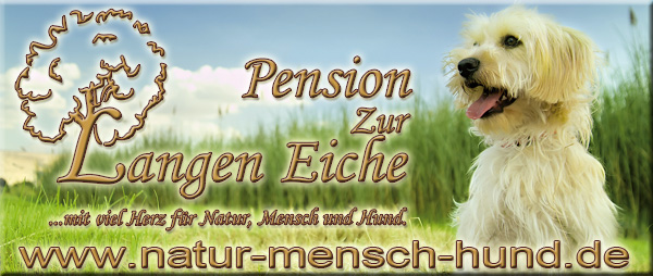 natur-mensch-hund-banner Banner Natur Mensch Hund