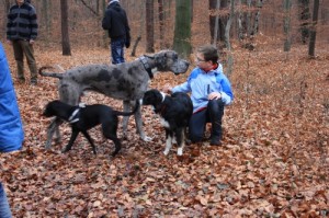 Foto-ABTDOG66 Hunde und Kind bei Wanderung in der Dresdener Heide